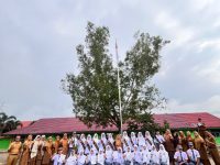 🌟 GALERI DAN DOKUMENTASI PRESTASI GEMILANG 2026🌟
